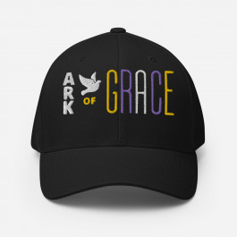 ARK of GRACE Structured Twill Cap