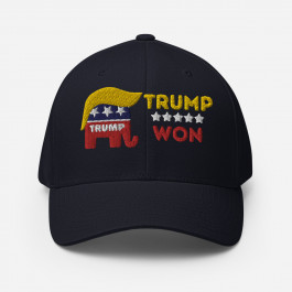 Trump Won 2020 Election Structured Twill Cap